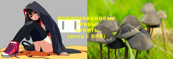 гидра Одинцово