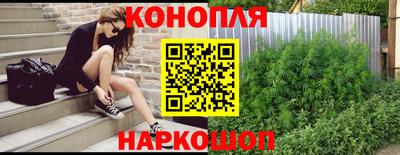 эйфоретик Аргун