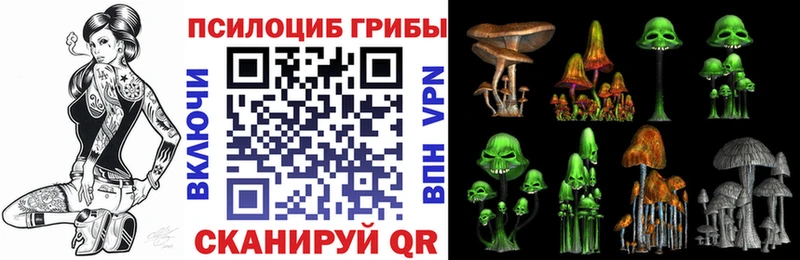 Псилоцибиновые грибы Magic Shrooms  купить наркотик  Бахчисарай 