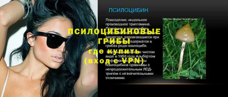 Псилоцибиновые грибы ЛСД  где можно купить   Бахчисарай 