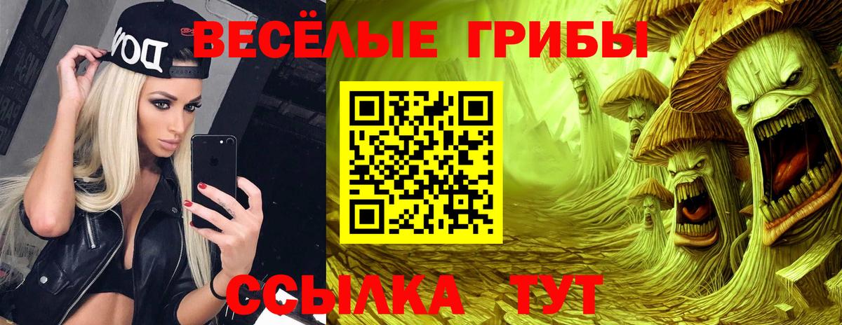Галлюциногенные грибы Psilocybe Бахчисарай