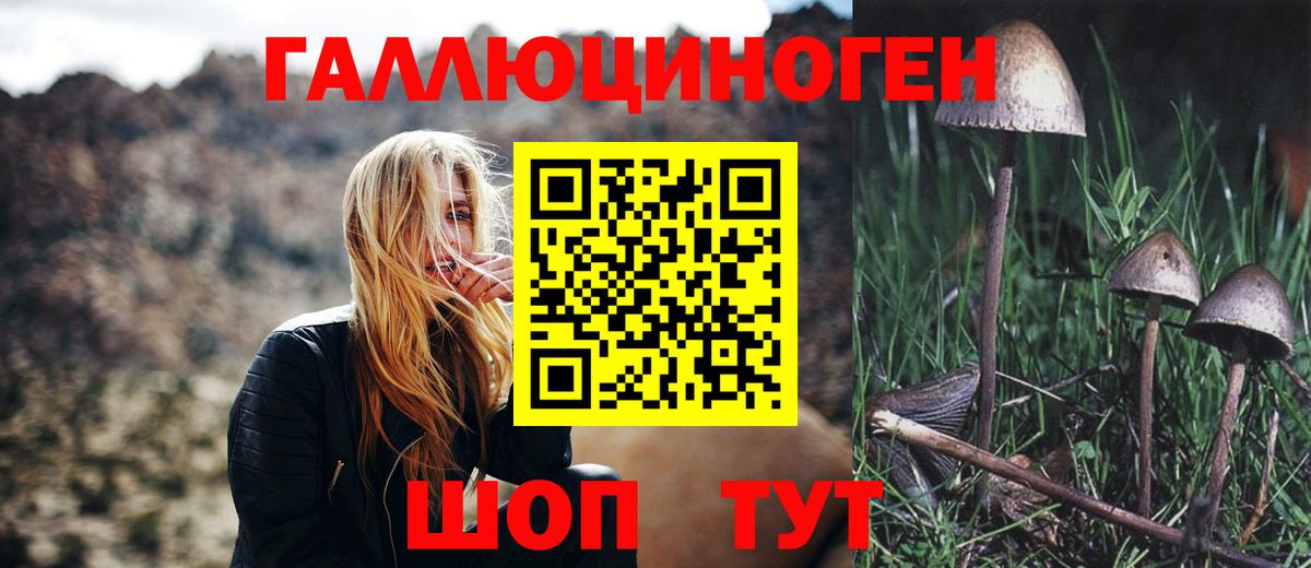 где можно купить наркотик  Псилоцибиновые грибы Magic Shrooms  Вход с VPN  Бахчисарай  Галлюциногенные грибы Psilocybe 