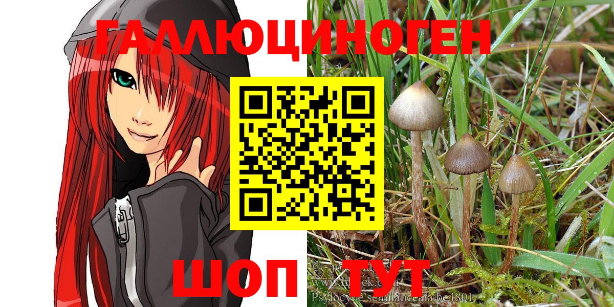 Псилоцибиновые грибы Cubensis  Бахчисарай  Псилоцибиновые грибы мицелий 